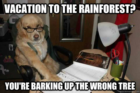 vacation to the rainforest youre barking up the wrong tree - Financial Advice Dog