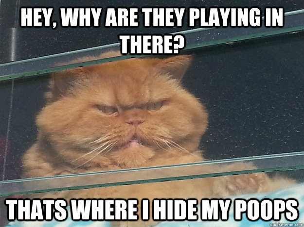 hey why are they playing in there thats where i hide my po -