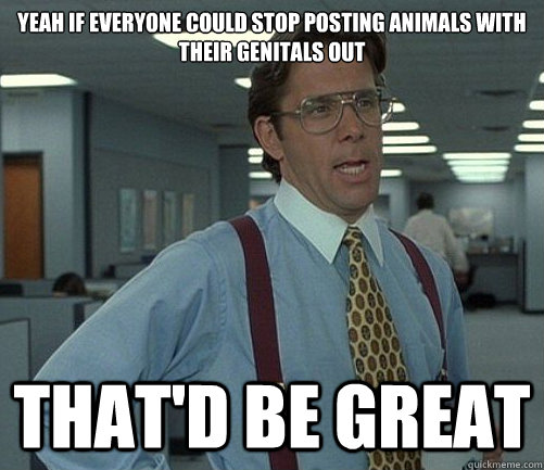 yeah if everyone could stop posting animals with their genit - Lomberg