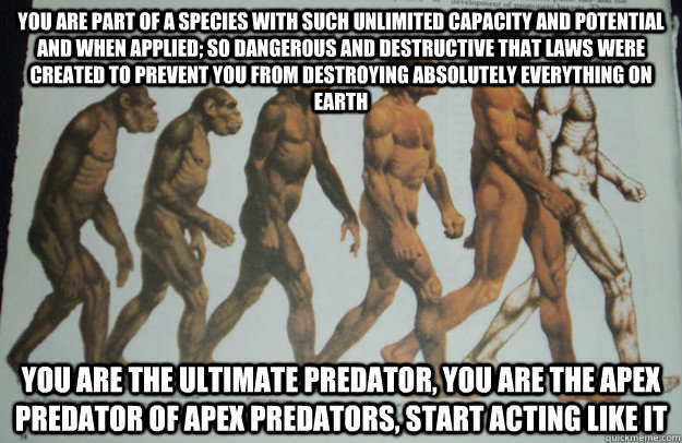 you are part of a species with such unlimited capacity and p -