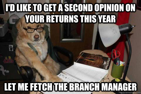 id like to get a second opinion on your returns this year l - Financial Advice Dog