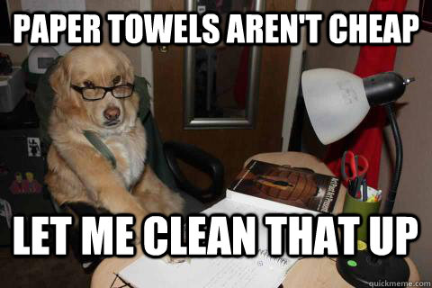 paper towels arent cheap let me clean that up - Financial Advice Dog