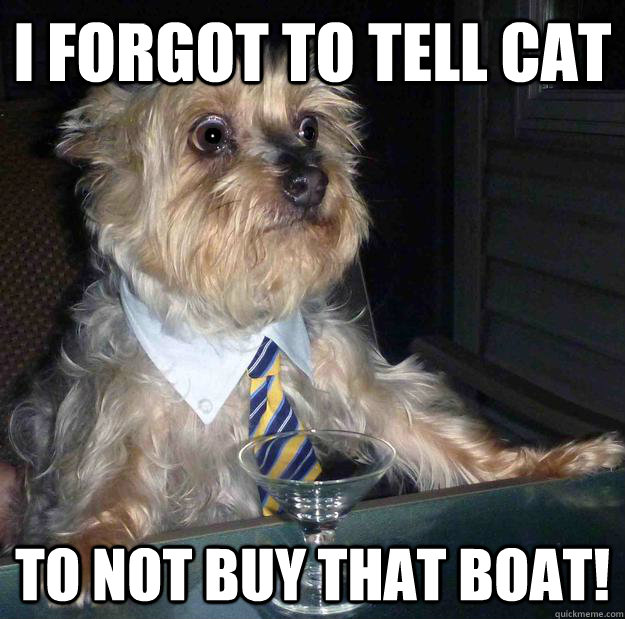 i forgot to tell cat to not buy that boat - Irresponsible Dog Father