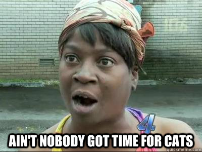 aint nobody got time for cats - Aint Nobody Got Time For That