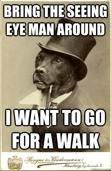 bring the seeing eye man around i want to go for a walk - Old Money Dog