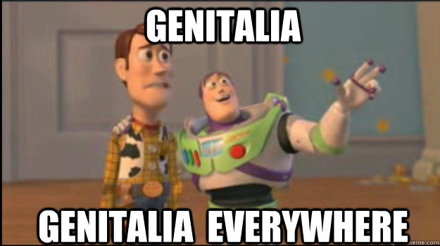 genitalia genitalia everywhere - Buzz and Woody