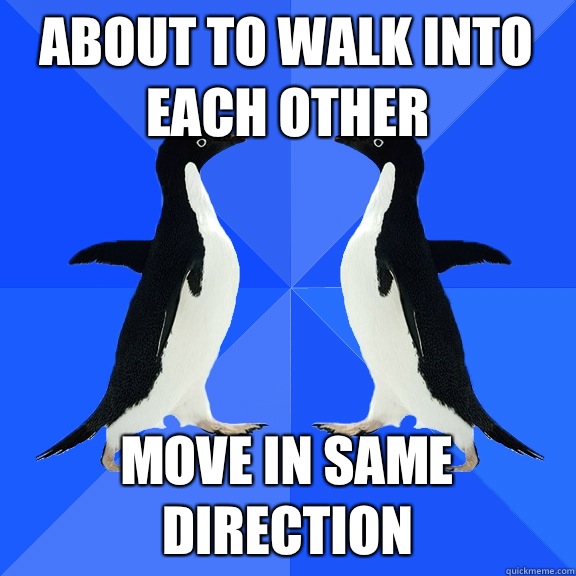 about to walk into each other move in same direction - Dancing penguins