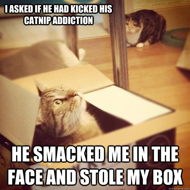 i asked if he had kicked his catnip addiction he smacked me - Cats wife
