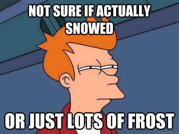 not sure if actually snowed or just lots of frost - Futurama Fry