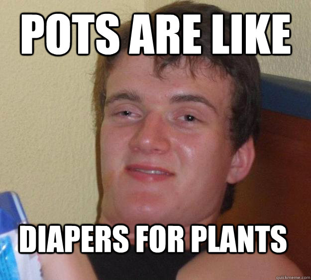 pots are like diapers for plants - 10 Guy