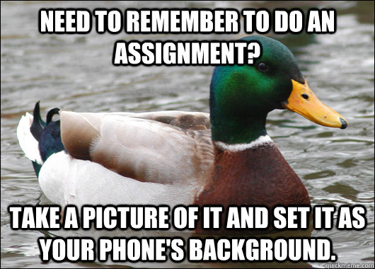 need to remember to do an assignment take a picture of it a - Actual Advice Mallard