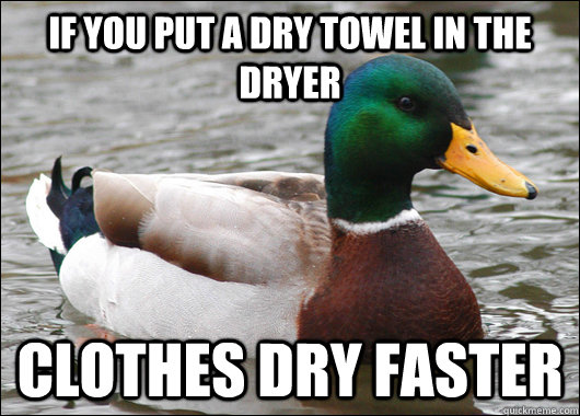 if you put a dry towel in the dryer clothes dry faster - Actual Advice Mallard
