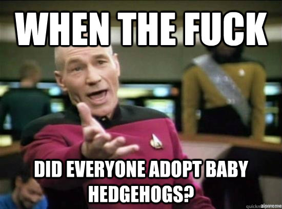 when the fuck did everyone adopt baby hedgehogs - Annoyed Picard HD