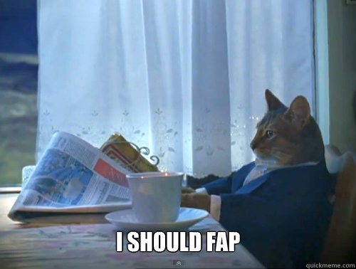 i should fap - The One Percent Cat