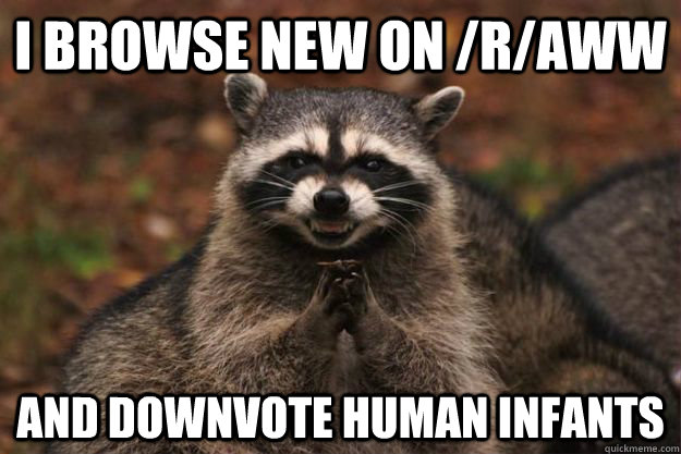 i browse new on raww and downvote human infants - Evil Plotting Raccoon