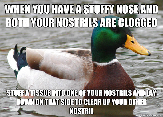 when you have a stuffy nose and both your nostrils are clogg - Actual Advice Mallard