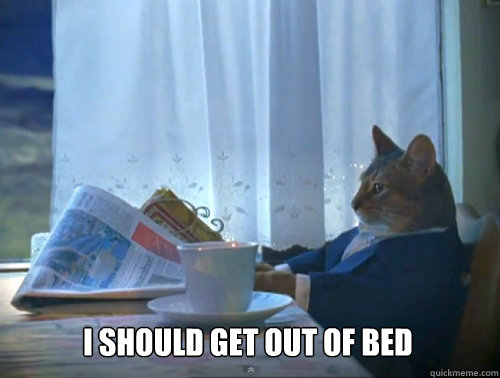 i should get out of bed - 1 Cat