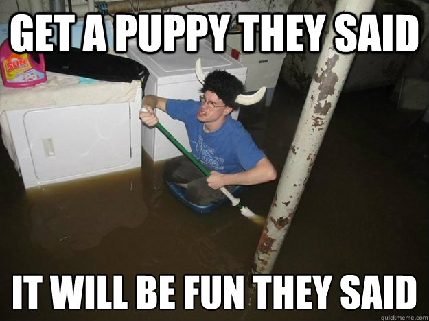 get a puppy they said it will be fun they said - Laundry viking