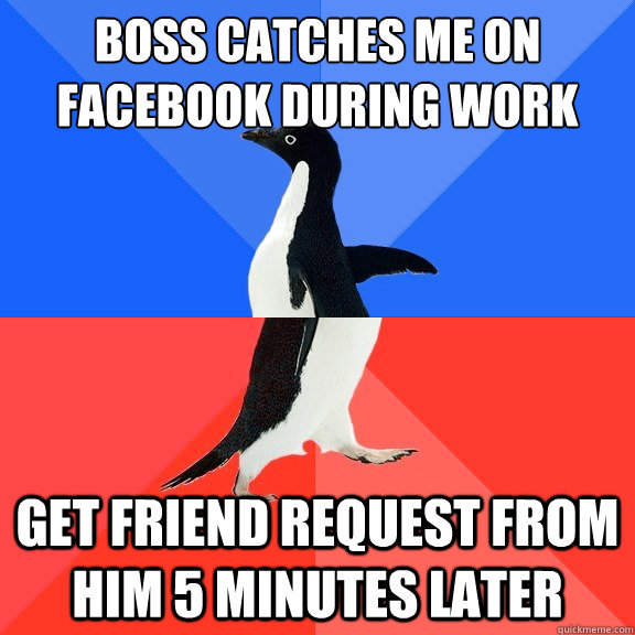 boss catches me on facebook during work get friend request f - Socially Awkward Awesome Penguin