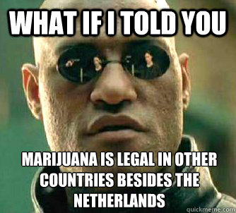 what if i told you marijuana is legal in other countries bes - What if I told you