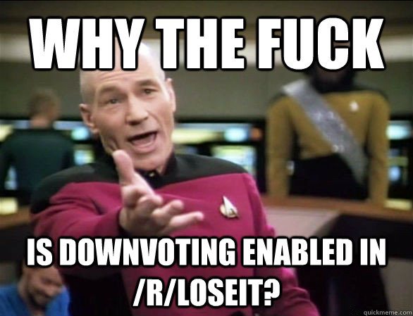 why the fuck is downvoting enabled in rloseit - Annoyed Picard