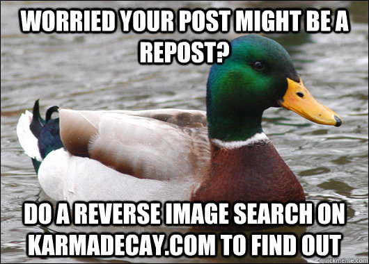 worried your post might be a repost do a reverse image sear - Actual Advice Mallard