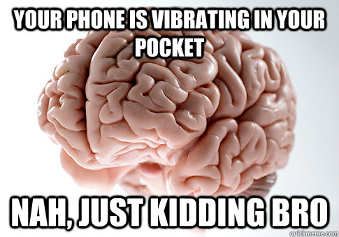 your phone is vibrating in your pocket nah just kidding bro - Scumbag Brain