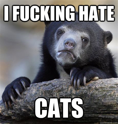 i fucking hate cats - Confession Bear
