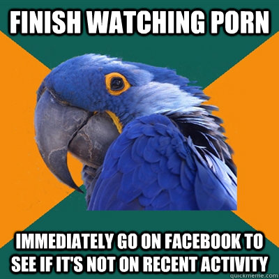 finish watching porn immediately go on facebook to see if it - Paranoid Parrot