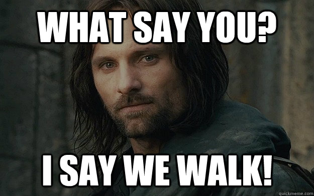 what say you i say we walk - Walk For Life Aragorn