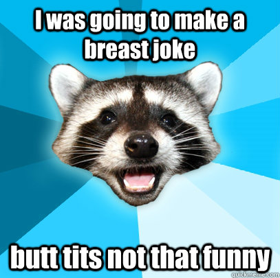 i was going to make a breast joke butt tits not that funny - Lame Pun Coon