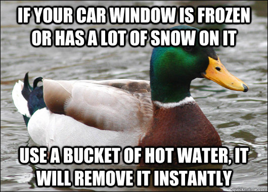 if your car window is frozen or has a lot of snow on it use - Actual Advice Mallard