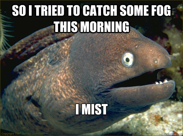 so i tried to catch some fog this morning i mist - Bad Joke Eel