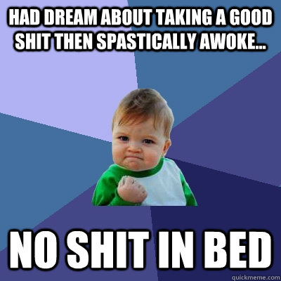 had dream about taking a good shit then spastically awoke - Success Kid