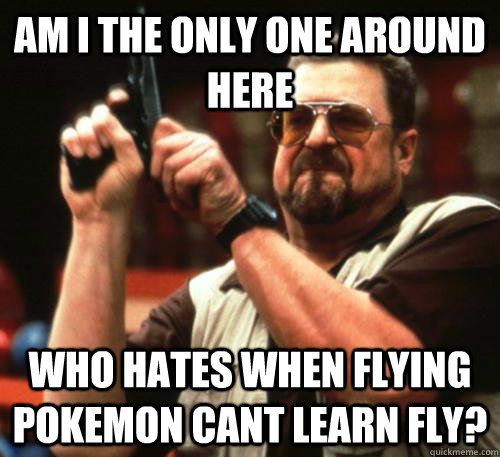 am i the only one around here who hates when flying pokemon - Am I The Only One Around Here