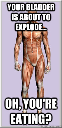 your bladder is about to explode oh youre eating - Good Guy Human Body