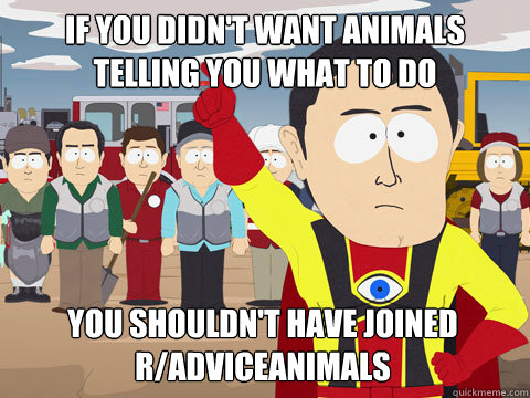 if you didnt want animals telling you what to do you should - Captain Hindsight