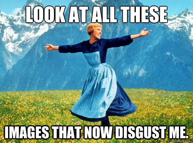 look at all these images that now disgust me - Sound of Music- Election
