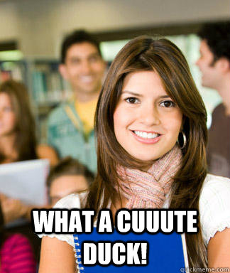 what a cuuute duck - Sheltered College Freshman