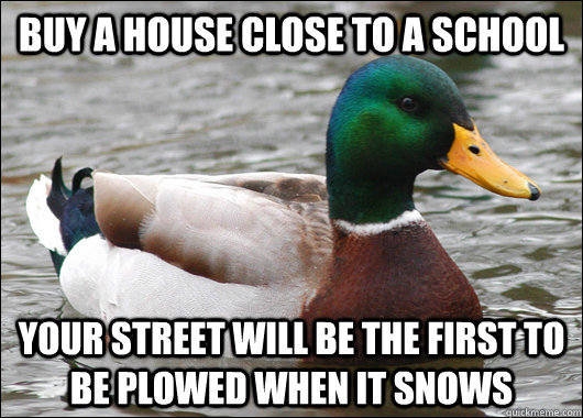 buy a house close to a school your street will be the first - Actual Advice Mallard