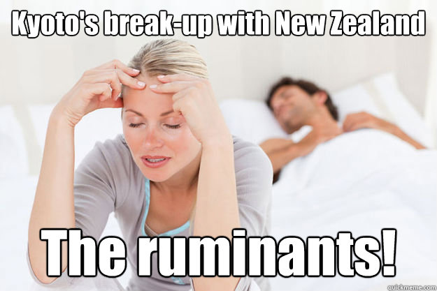 kyotos breakup with new zealand the ruminants - Kyoto New Zealand break-up