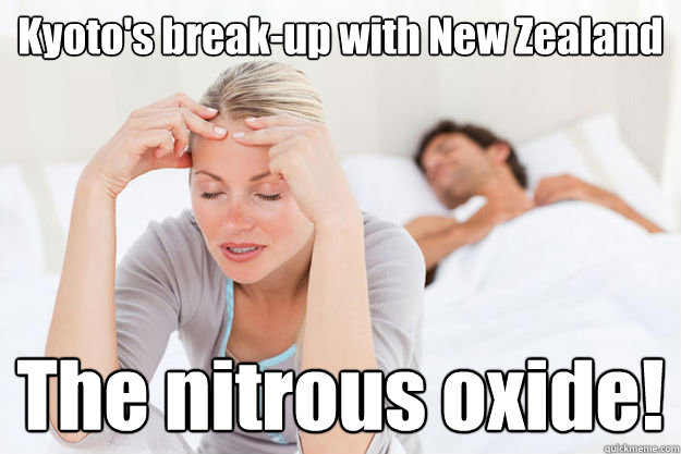 kyotos breakup with new zealand the nitrous oxide - Kyoto New Zealand break-up