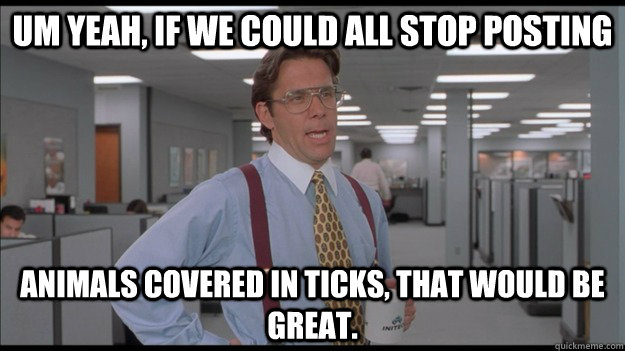 um yeah if we could all stop posting animals covered in ti - Office Space Lumbergh HD