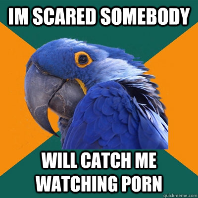 im scared somebody will catch me watching porn - Paranoid Parrot