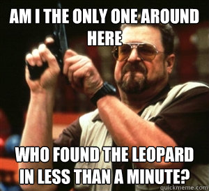 am i the only one around here who found the leopard in less -