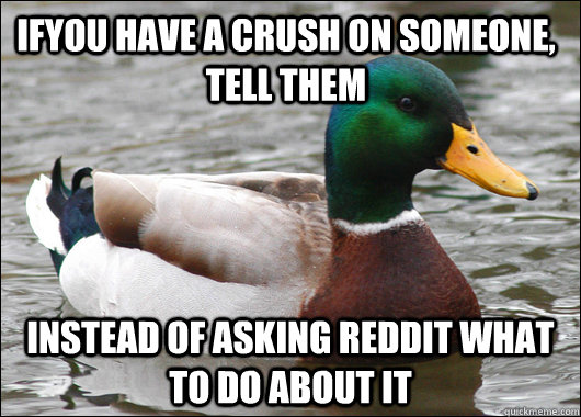 ifyou have a crush on someone tell them instead of asking r - Actual Advice Mallard