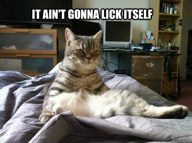 it aint gonna lick itself -