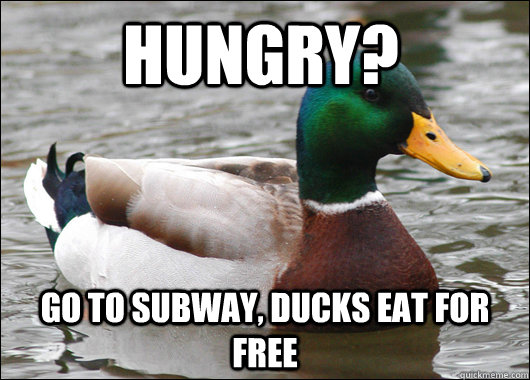 hungry go to subway ducks eat for free - Actual Advice Mallard