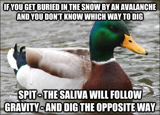 if you get buried in the snow by an avalanche and you dont - Actual Advice Mallard