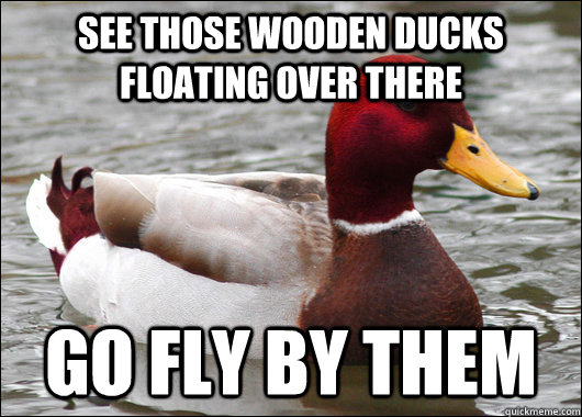 see those wooden ducks floating over there go fly by them - Malicious Advice Mallard